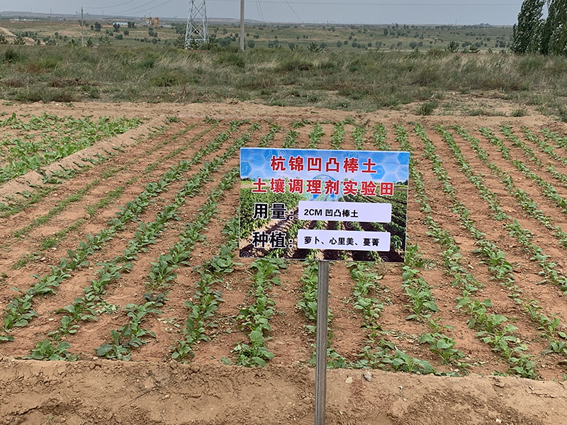 高品質(zhì)凹凸棒石黏土的用途